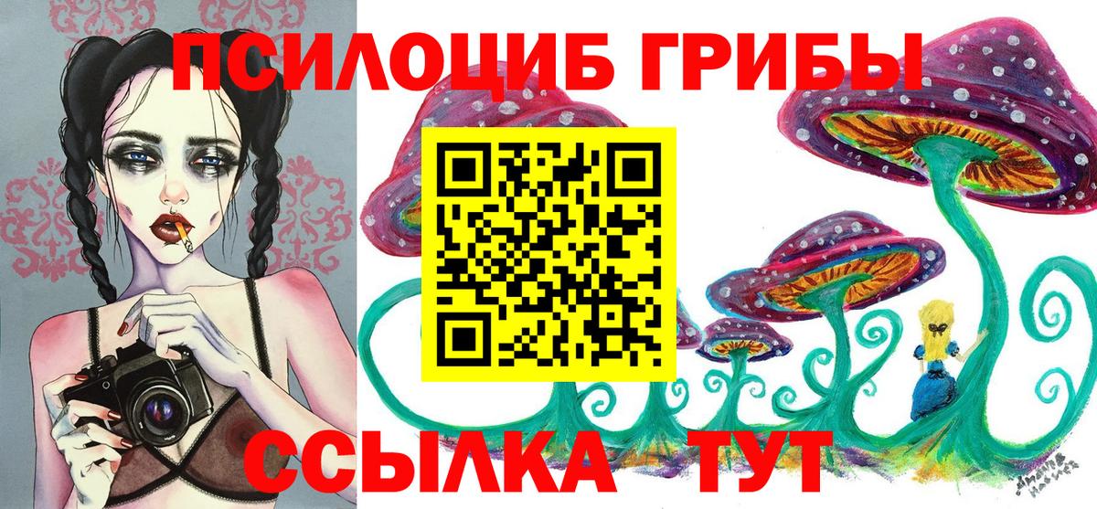 Псилоцибиновые грибы мухоморы Осинники