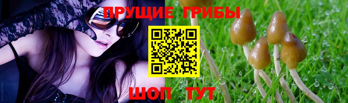 Осинники  Галлюциногенные грибы мухоморы  Вход с VPN 